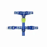 Koera rakmed Zee Dog Astro, XS-suurus