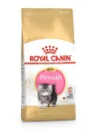 Royal Canin Persian kassipoegade kuiv kassitoit, 10 kg