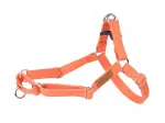 Koera rakmed amiplay Easy GO, puuvillased, S, oranžid