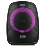 &Uuml;le kantav karaoke k&otilde;lar mikrofoniga Niceboy Party Boy II, 100 W, IPX4, USB-C