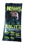 Enne treeningut lisa Nuclear Nutrition Igniter 17.5g Citrus Peach