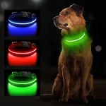 Laetav LED-valgustusega koera kaelarihm TC5100, M suurus, 3 valgustusrežiimi