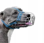 Metallist suumik Amstaff/Pitbull koertele