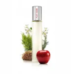 Meeste parf&uuml;&uuml;m Neness In Play 147, lilleline ja puidune aroom, 33 ml