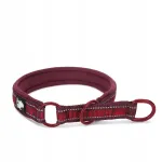 Poolkinnine koera kaelarihm Truelove Funky XL