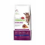 Trainer Natural kuivtoit koertele, 10 kg