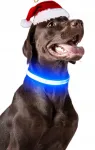 Koera kaelarihm LED-valgustusega, sinine, veekindel, suurus S