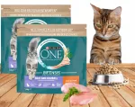 Kuiv toit kassidele PURINA karvakasvatus- ja karvapallide kontrolliga, 2 x 1,4 kg