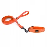 Koera kaelarihma ja rihma komplekt HUGGY DOGGY, oranž, XS, kutsikatele