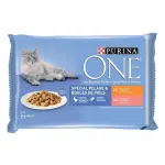 Purina ONE Coat Hairball m&auml;rg kassitoit kanaga ja l&otilde;hega, 4 x 85 g