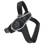 Koera rakmed Tre Ponti XL, 30&ndash;40 kg, helkuritega