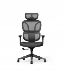 Ergonoomiline kontoritool Flexispot BS5 must, koos Cloud 135&deg; padjaga