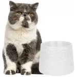 Keraamiline t&otilde;stetud kauss kassidele BARRY KING, 11 cm, 300 ml
