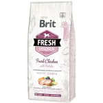 Brit Fresh Chicken kuivtoit kutsikatele kartulitega, 12 kg