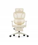 Ergonoomiline tool Flexispot BS5 polsterdatud istumise ja jalatoega, Cloud Apricot v&auml;rvusega