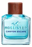 Meeste tualettvesi Hollister Canyon Escape, 100 ml