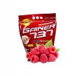 Megabol Gainer 737 3000 g valguline gainer vaarikamaitseline