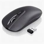Juhtmevaba ergonoomiline hiir, vaikne, 2.4GHz, kontorisse ja s&uuml;learvutile, terasest