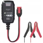 Automaatne aku laadija VOLTCRAFT BC2500, 6V/12V, 2.5A