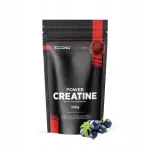 Kreatiin ECCONO POWER 300 g monoh&uuml;draat mikro 200 mesh tikrimarjaga