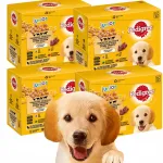 Niiske koeratoit Pedigree noortele t&otilde;ugudele, erinevad maitsed, 48 x 100 g