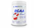 ALLNUTRITION BCAA MAX SUPPORT INSTANT aminohapped 500g, arbuusimaitselised