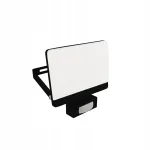 LED projektor liikumisanduriga STRUHM BREEZE LED 04248 IP65 50W 4500 lm 4100K