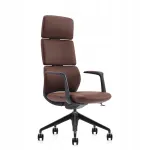 Ergonoomiline kontoritool OMEGA, pruun nahk
