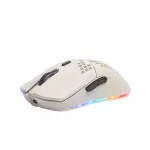 Juhtmevaba m&auml;nguhiir RGB valgustusega, 2.4GHz, USB-C, optiline, valge