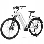 Elektrijalgratas Paselec TX10, 250W, 48V, 15,6Ah, 28", LCD, kuni 80 km