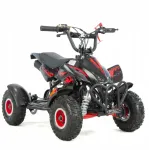Laste mini ATV, 50cc bensiinimootor, kiirusepiiraja ja suurte ratastega