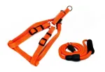 Rihmade ja valjade komplekt koertele BUBU Classic Rainbow, oranž, suurus S, valjad 15 mm/35&ndash;45 cm, rihm 8 mm/130 cm