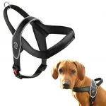 Koera rakmed TRE PONTI, Prantsuse buldogile, mustad, peegeldustega, suurus M (60&ndash;75 cm)