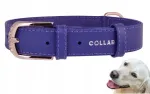 WAUDOG nahast koera kaelarihm, violetne, 25 mm, 38&ndash;49 cm