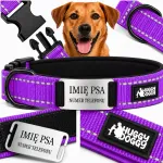 Koera kaelarihm nime ja telefoninumbriga, violetne, HUGGY DOGGY, XS