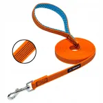 Koera jalutusrihm RASCAL, kummist, 5 m, oranž