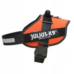 Koera valjad Julius-K9 IDC Powerharness, oranžid, suurus 4