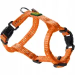 Koera valjad HUNTER Tripoli oranžid, XXS, 18-30 cm