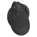 Juhtmevaba ergonoomiline hiir Delux M618G DB, must