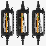 12V automaatne aku laadija 800mA desulfitseerimisega