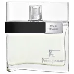 SALVATORE FERRAGAMO F BY FERRAGAMO POUR HOMME meeste parf&uuml;&uuml;mid 100 ml
