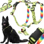 HUGGY DOGGY r&otilde;huta koerarihmad, v&auml;rvikad ja tugevad, suurus L, borderkollidele