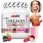 Kolageenipulber liigestele, juustele, nahale, k&uuml;&uuml;ntedele BEEF DRINKING COLLAGEN PREMIUM