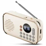 Kaasaskantav retro FM raadio, MP3, USB, microSD, Bluetooth k&otilde;lariga