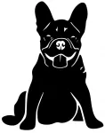 Autokleebis French Bulldog, 15,2 x 12 cm, taustata