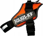 Koera valjad Julius K9 IDC Power, suurus 1, oranžid