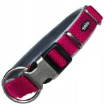 Koera kaelarihm Classic Royal Preno, S-M, 20/25 mm, 38&ndash;47 cm, vaarikav&auml;rvi