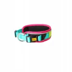 Dingo Active BRASIL L suuruses koera kaelarihm (45&ndash;55 cm) Labradorile
