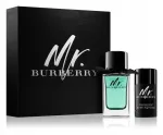 BURBERRY MR. BURBERRY EDT l&otilde;hnakomplekt 100 ml