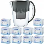 Veekann 10 vahetatava Aquaphor Maxfor filtriga